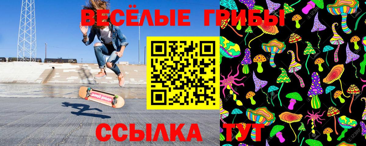 Советская Гавань  Псилоцибиновые грибы Magic Shrooms  Вход с VPN 